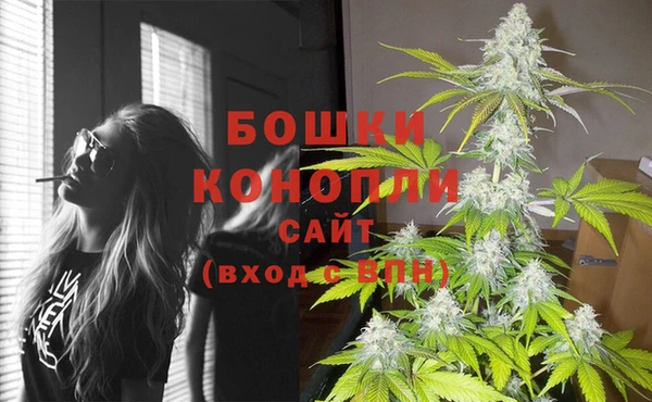 МДПВ Нефтегорск