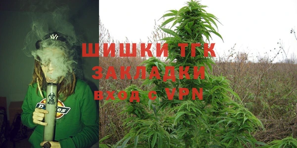 бошки Новодвинск