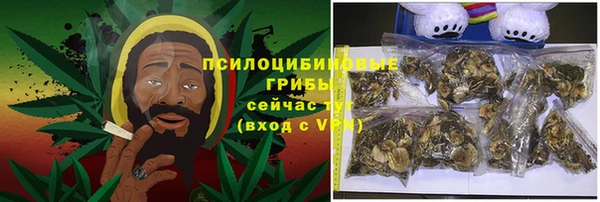 бошки Новодвинск