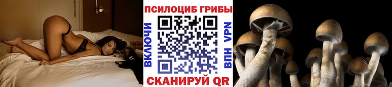 OMG онион  Белогорск  Псилоцибиновые грибы мухоморы 
