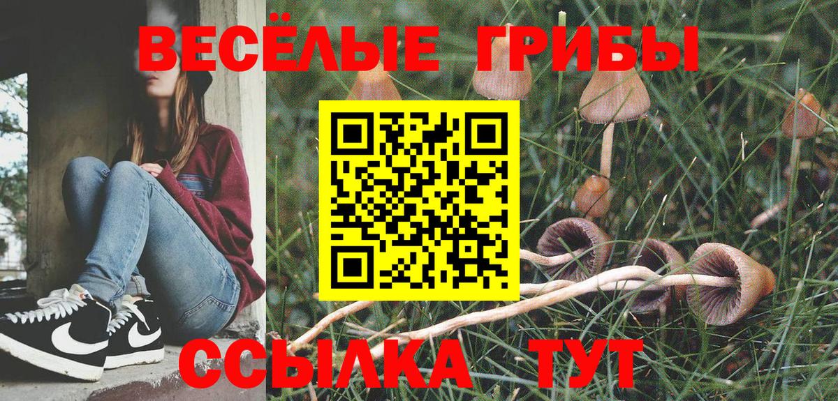 Псилоцибиновые грибы MAGIC MUSHROOMS Белогорск